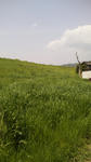 110504_122128.jpg