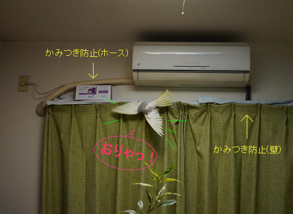 毎日が特訓!