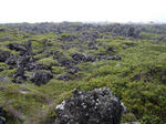 P1000805.jpg