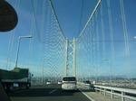 P1000903.jpg