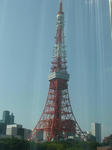 P1000996.jpg