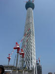 P1010016.jpg