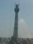 P1010004.jpg