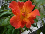73bdf191.jpg