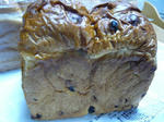 P1020100.jpg