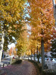 P1020111.jpg