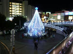 P1020138.jpg