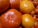 P1020154.jpg