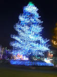 P1020165.jpg
