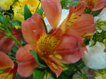 P1020189.jpg