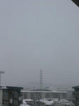P1020286.jpg