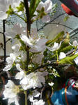 980237c6.jpg