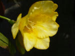 P1020406.jpg