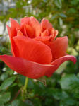 8c8a9769.jpg