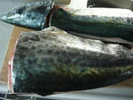 e570ef43.jpg