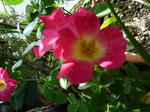 39c929a2.jpg