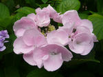 79d84c8b.jpg