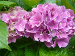 f04555c7.jpg