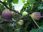5f992f6a.jpg