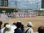 P1020833.jpg
