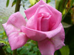 56e20710.jpg