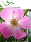 8b673e16.jpg
