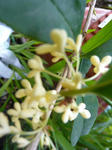 d3ab6452.jpg