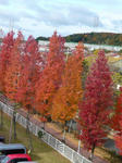 P1030027.jpg