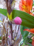 P1030451.jpg