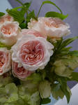 P1000235.jpg