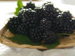 P1000283.jpg