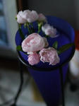 P1000597.jpg