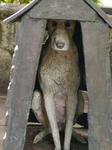 P1000740.jpg