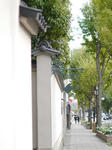 P1000746.jpg