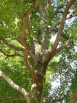 P1000024.jpg