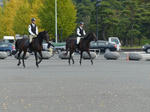 P1000049.jpg
