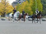 P1000050.jpg