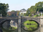 P1000056.jpg