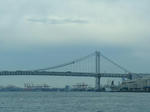 P1000061.jpg