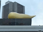 P1000063.jpg