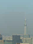 P1000076.jpg