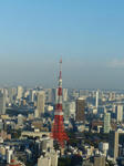 P1000077.jpg