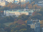 P1000084.jpg