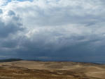 P1000107.jpg