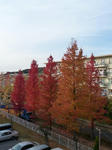 P1000088.jpg