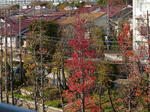 P1000149.jpg