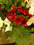 P1000200.jpg