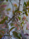 P1010736.jpg