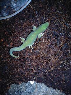 とりあえず元気です。