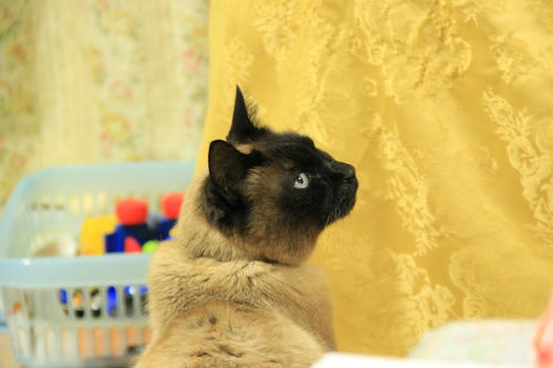 IMG_1480_R.JPG
